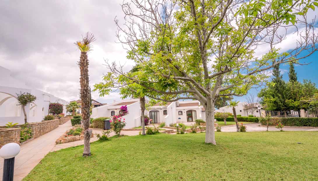 The Olive Tree Hotel
