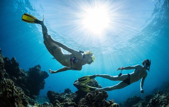Scuba Diving