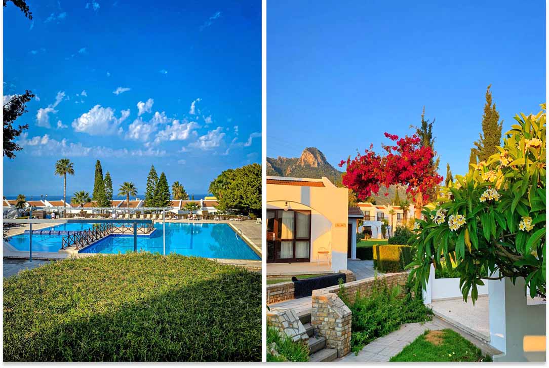 The Olive Tree Hotel