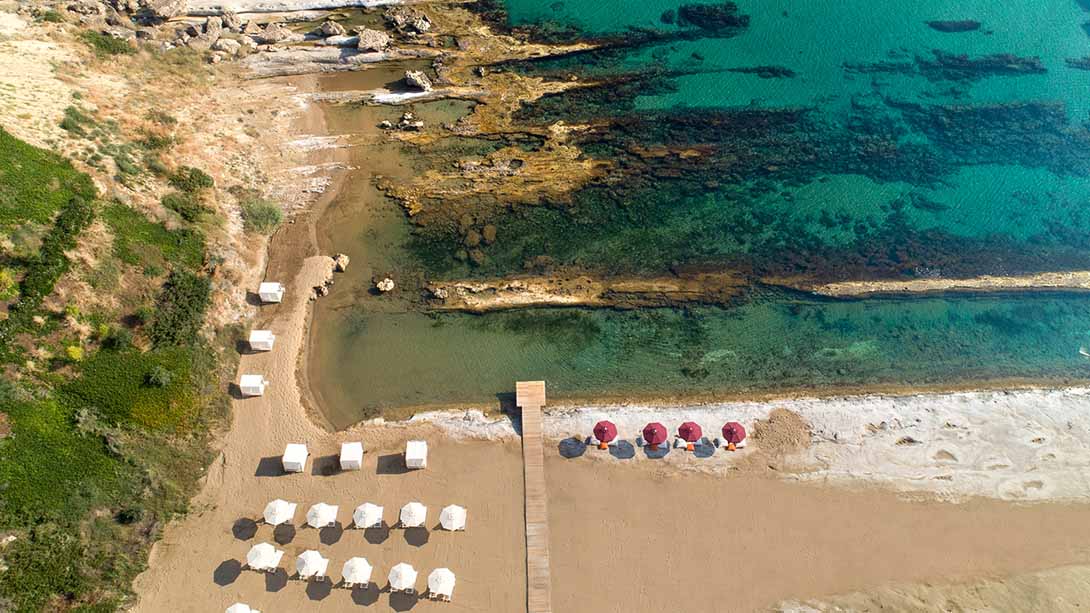 Elexus Resort and Spa