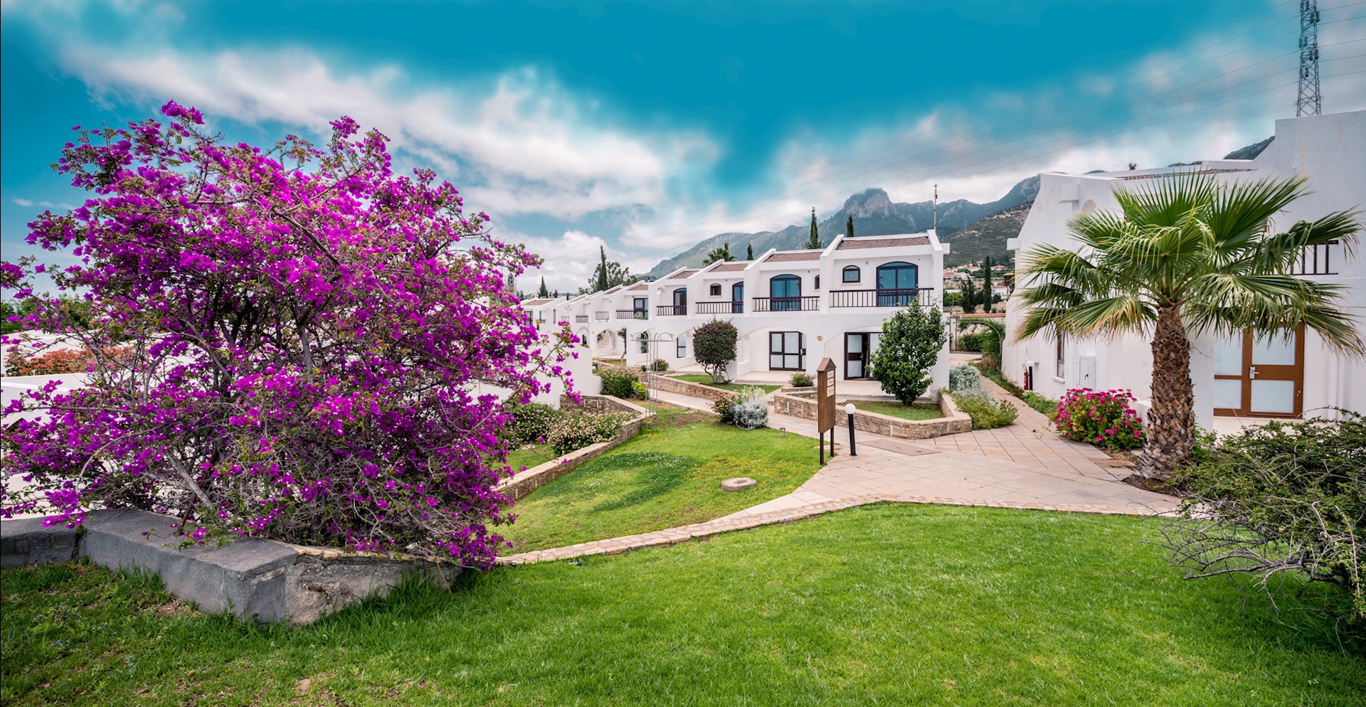 The Olive Tree Hotel