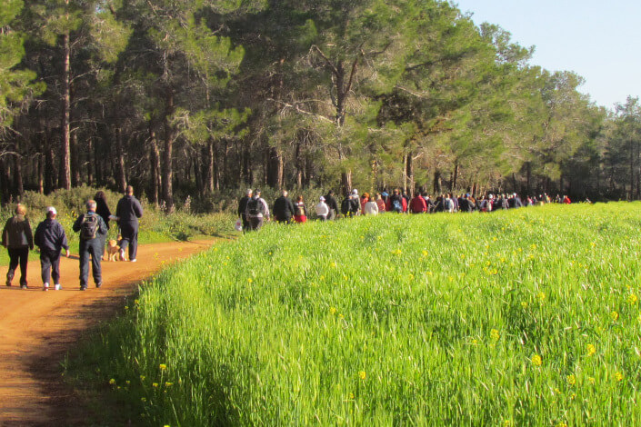 nature-trekking-cyprus.jpg (1)
