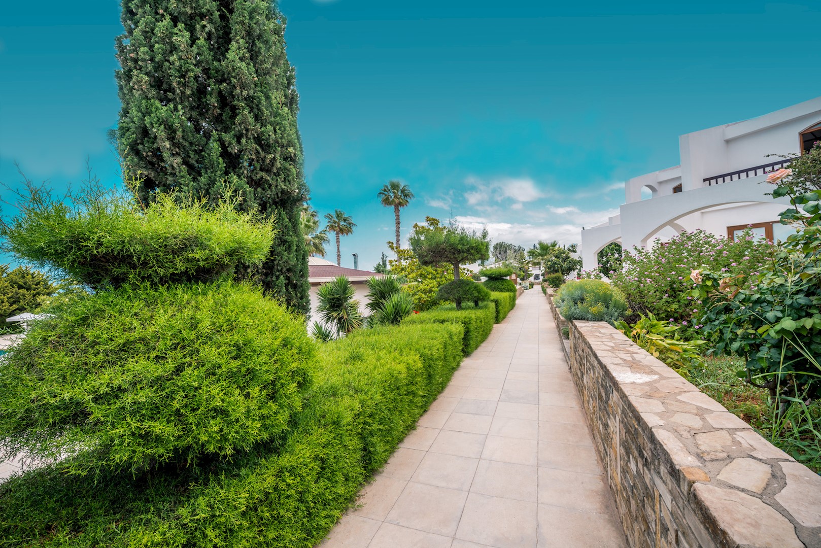 The Olive Tree Hotel
