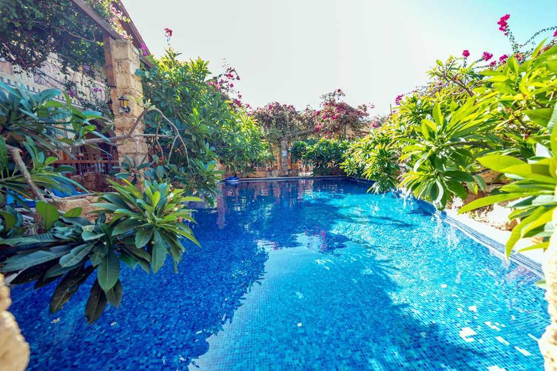 Dive in!