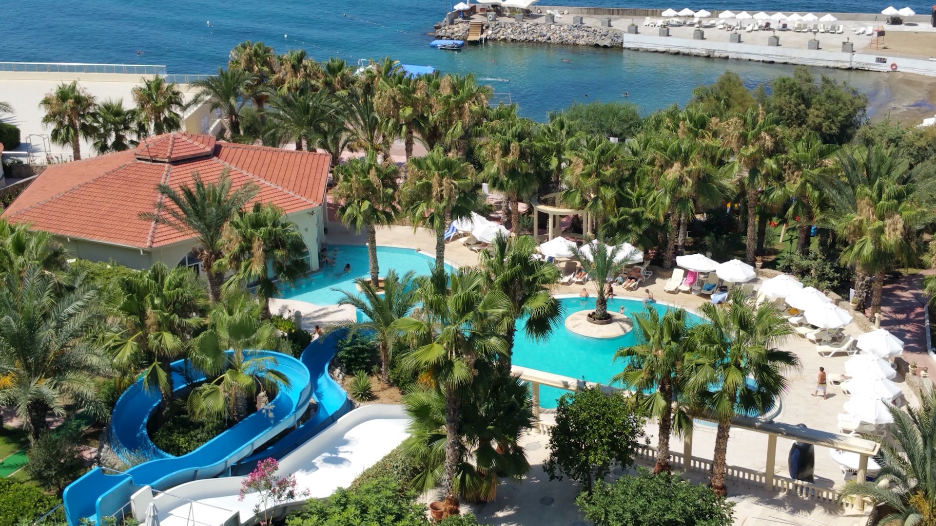 oscar resort hotel aqua pool