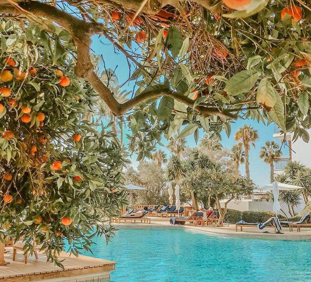 annabelle hotel pool paphos
