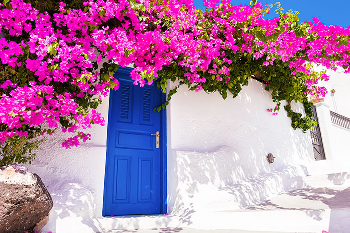 karmi-village-bougainvillea-north-cyprus.jpg