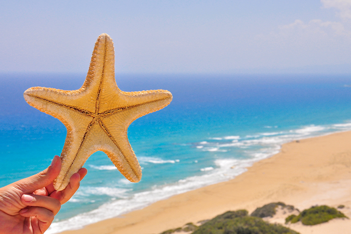 golden-beach-north-cyprus