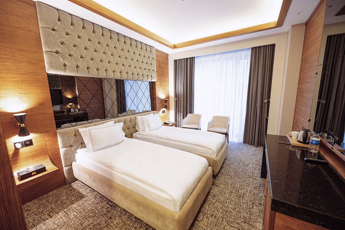 Deluxe Room with Mountain View 