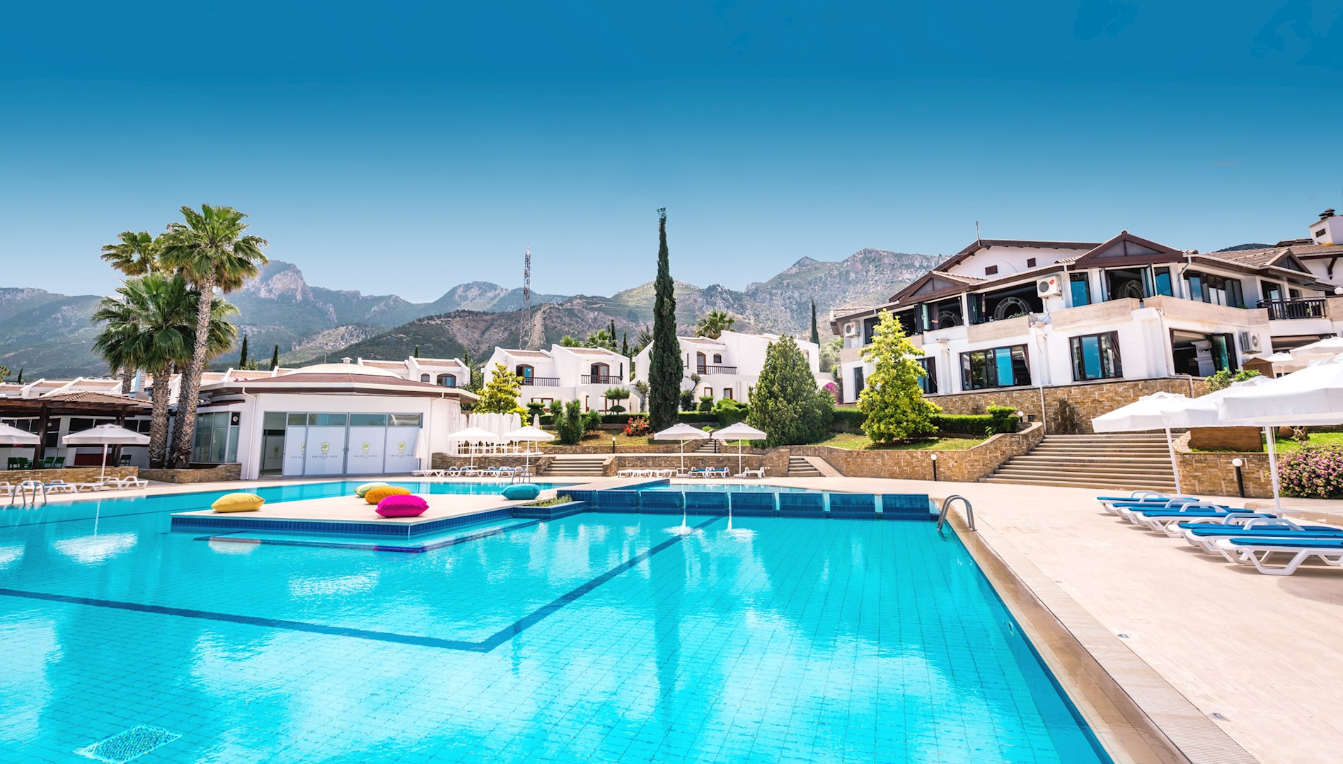 The Olive Tree Hotel