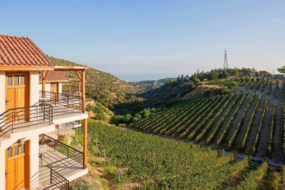 Gillham Vineyard