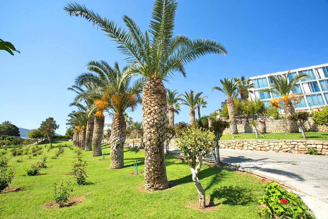 Denizkizi Hotel