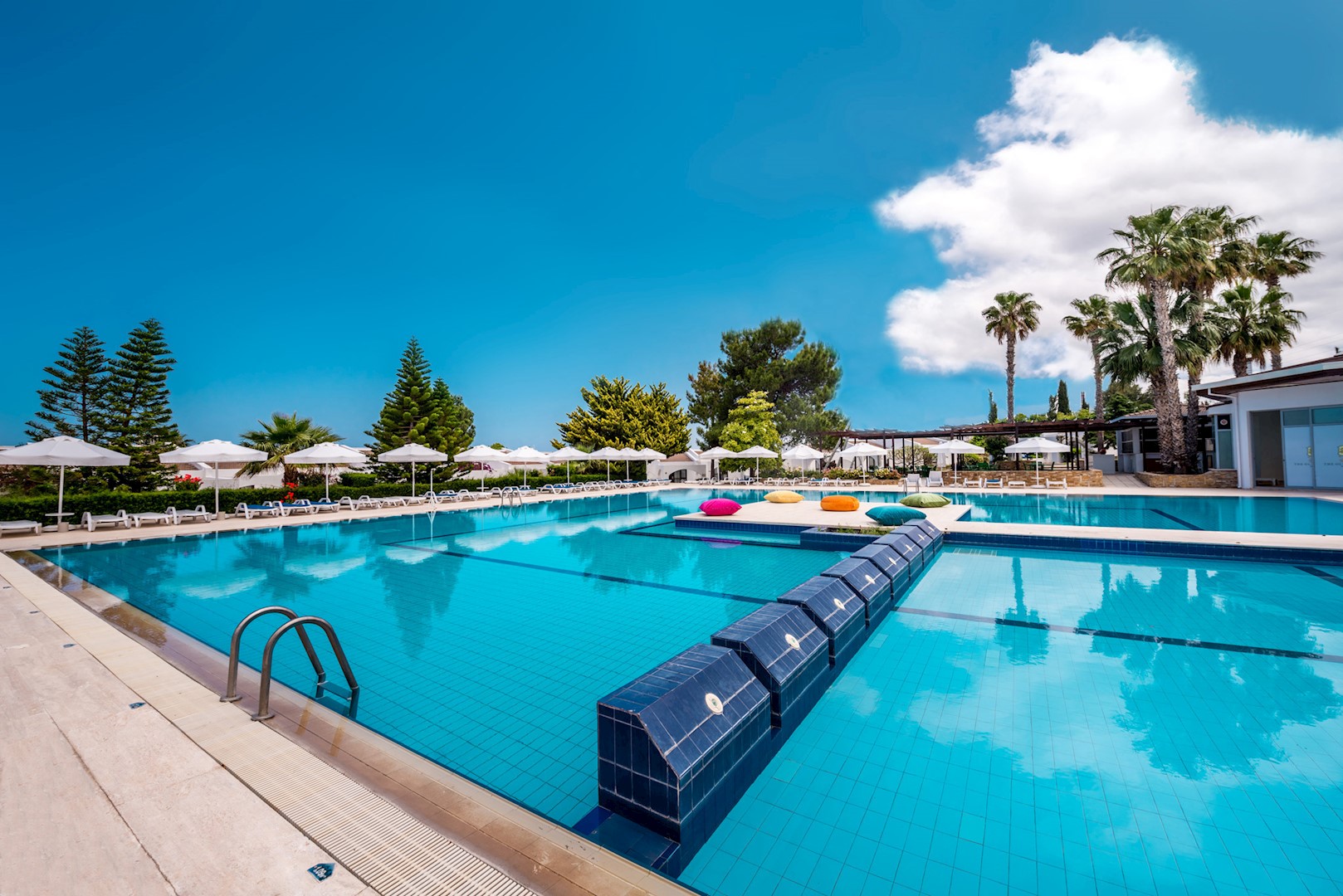 The Olive Tree Hotel