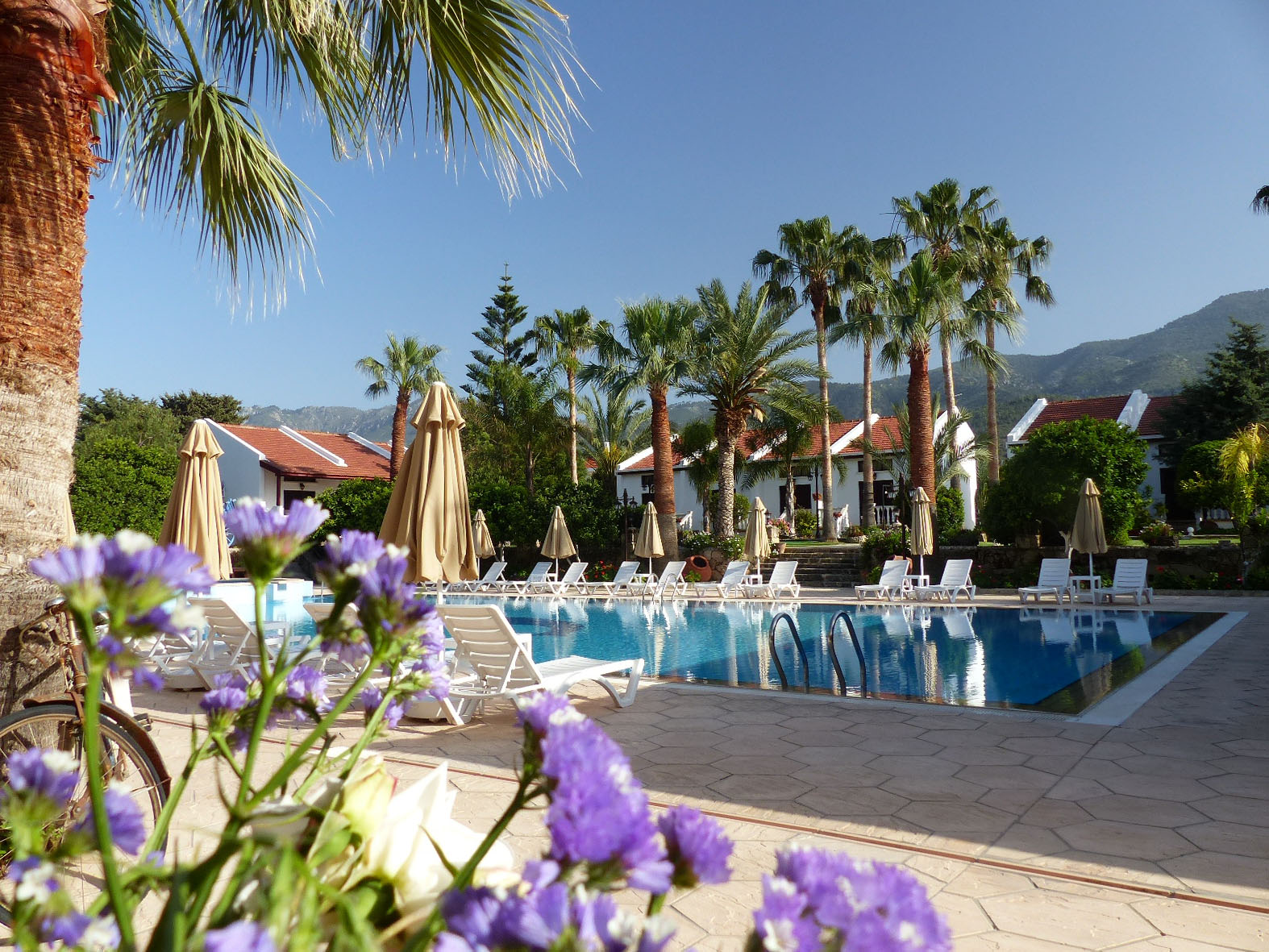 Almond Holiday Village