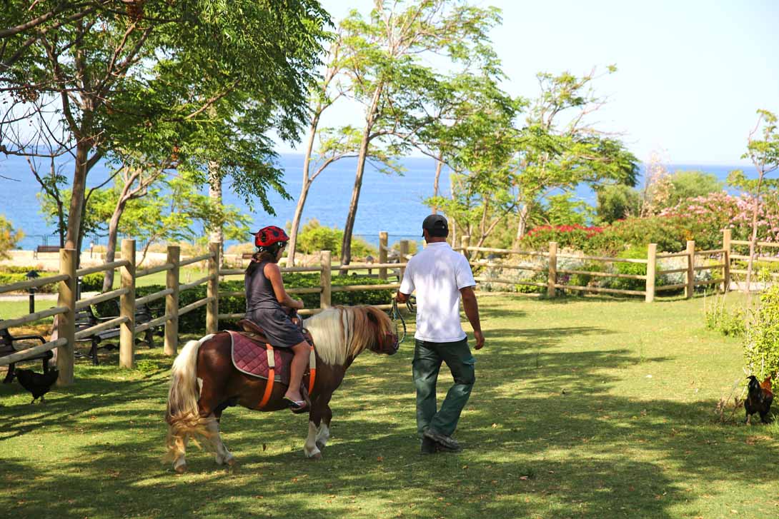 merit park pony ride kyrenia