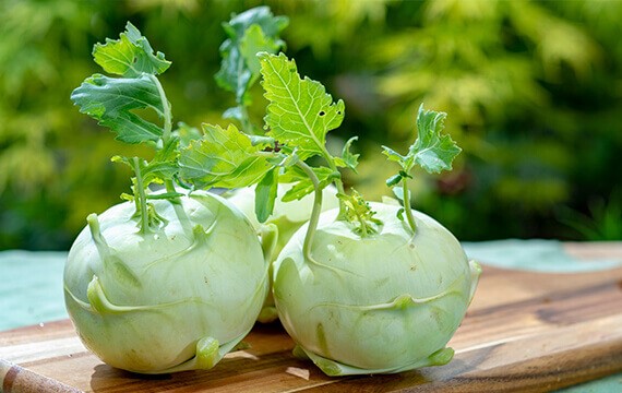 Kohlrabi  (Cabbage Turnip) 