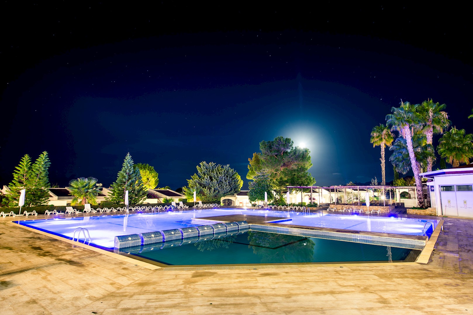 The Olive Tree Hotel