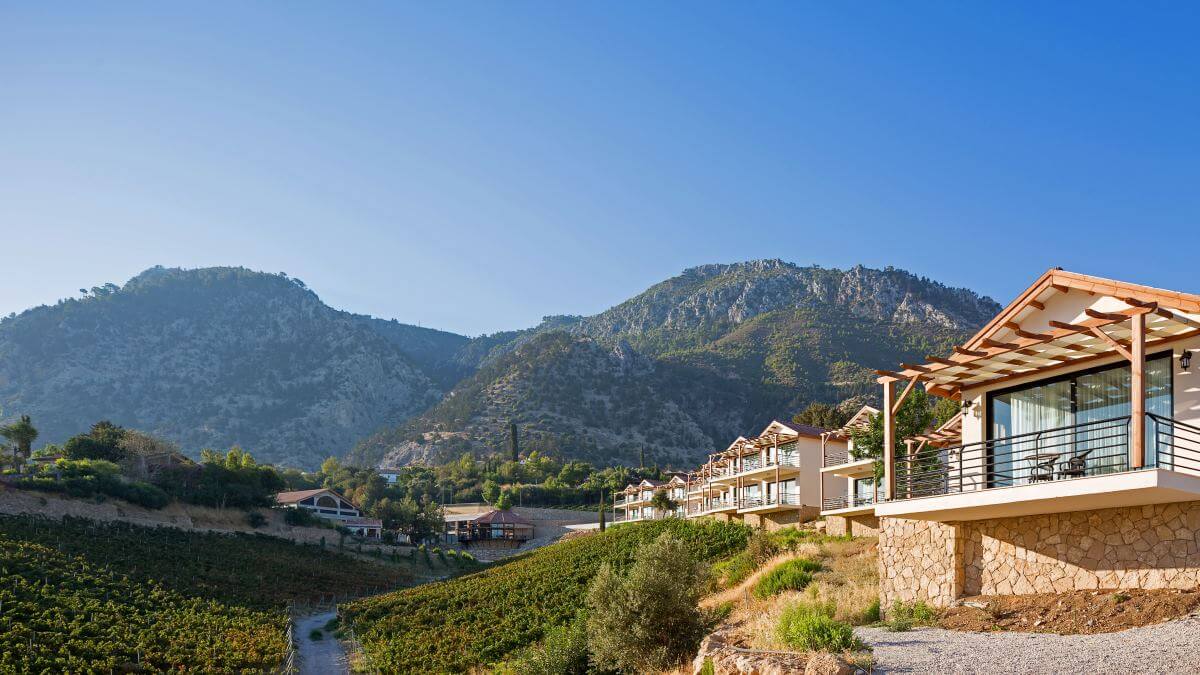Gillham Vineyard