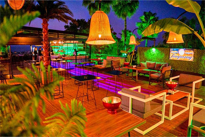 ivy-cheetah-club-north-cyprus