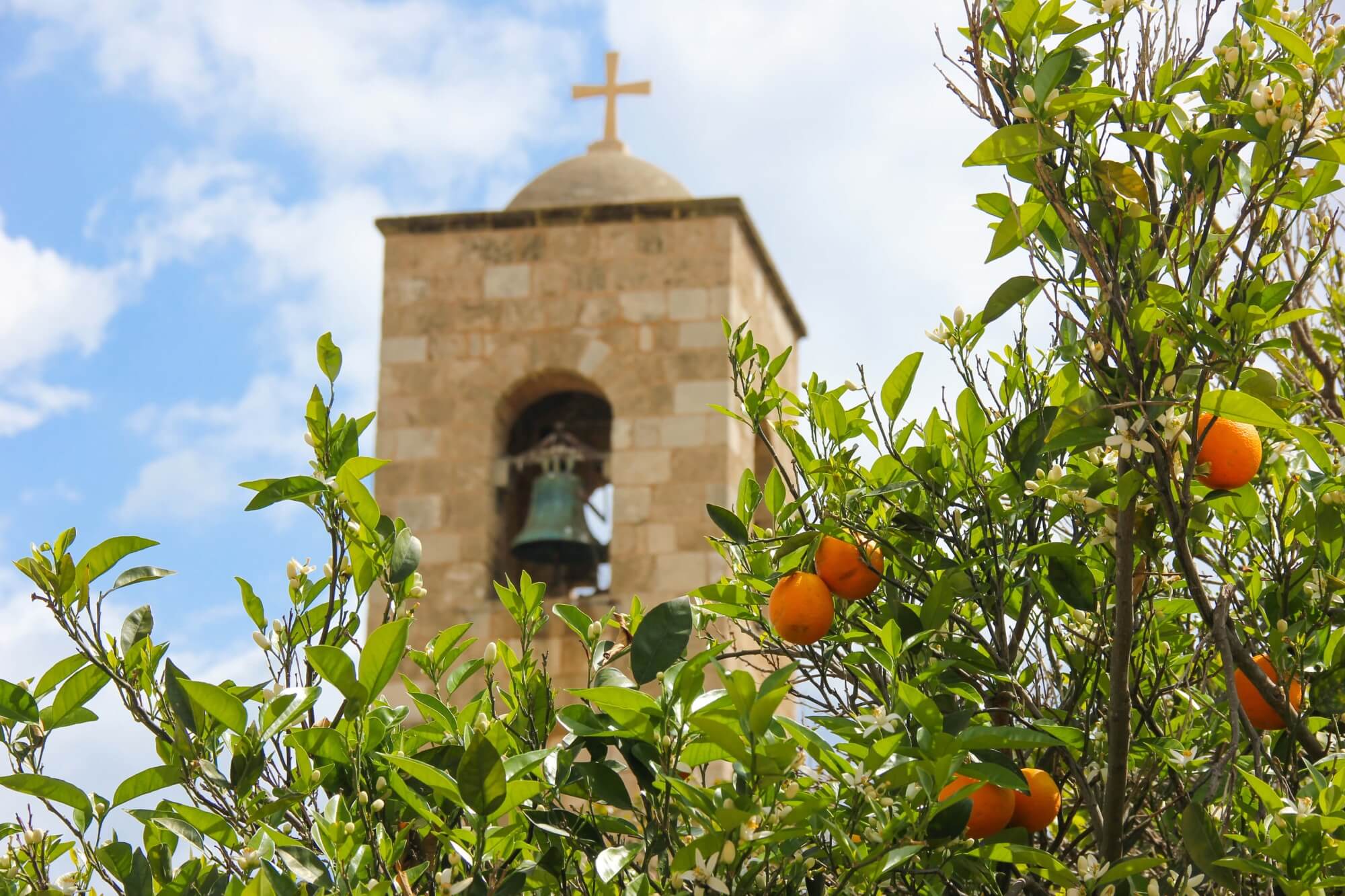 st-barnabas-orange-tree-famagusta